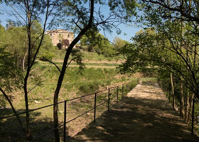 Mas Riera - 1 *